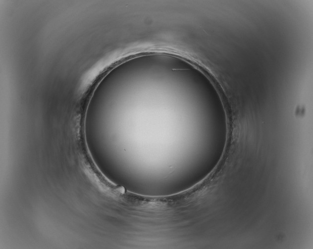 X0000112031503200908031424
