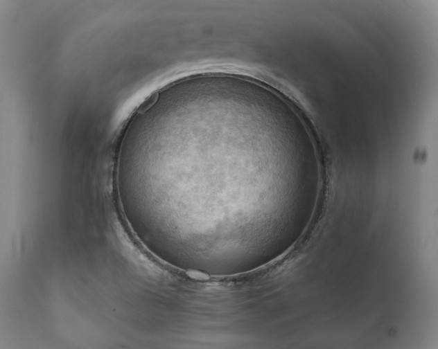 X0000112031504200908031424