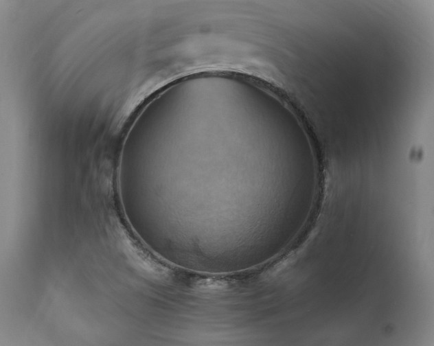 X0000112031505200908031424