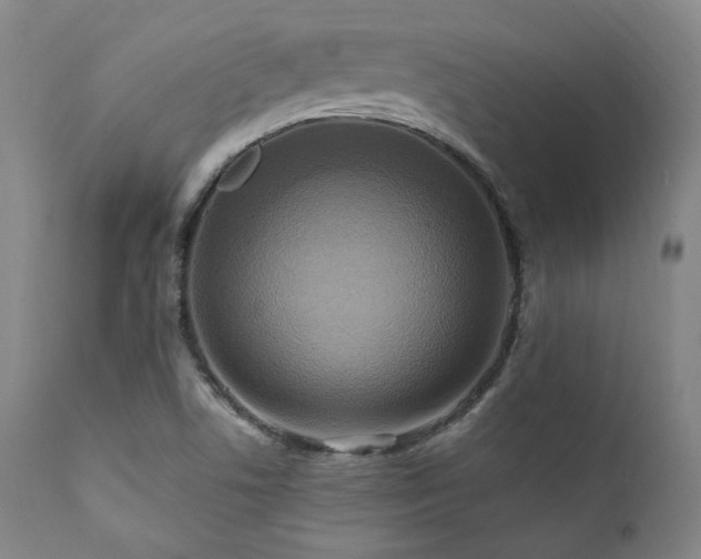 X0000112031506200908031424