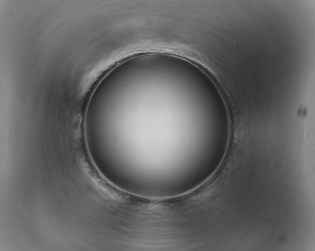 X0000112031507200908031424