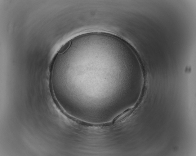 X0000112031508200908031424