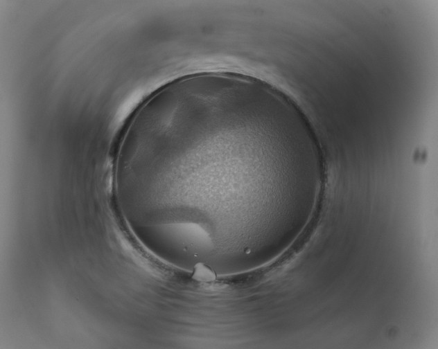 X0000112031509200908031424