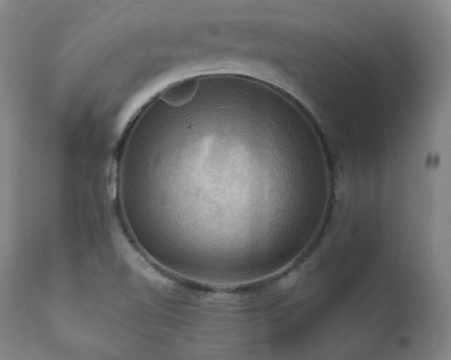 X0000112031510200908031424