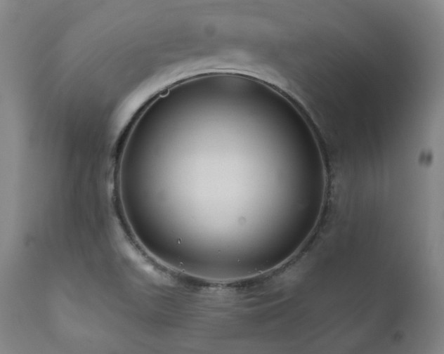 X0000112031511200908031424