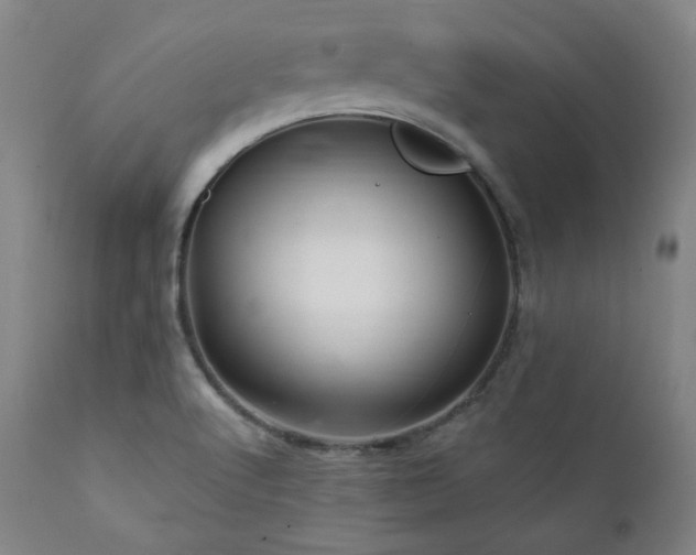 X0000112031512200908031424