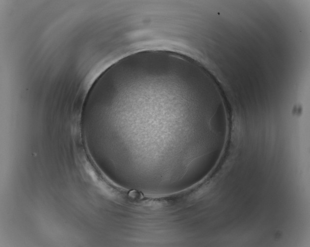 X0000112031513200908031424