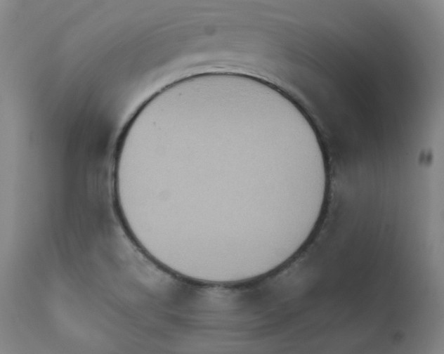 X0000112031514200908031424