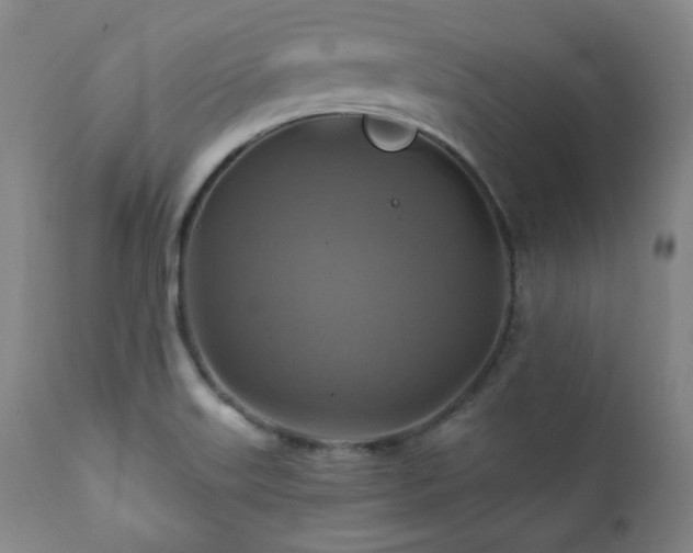 X0000112031515200908031424