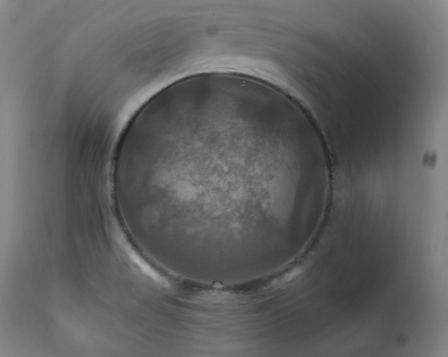X0000112031517200908031424