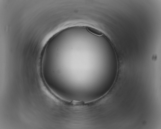 X0000112031518200908031424