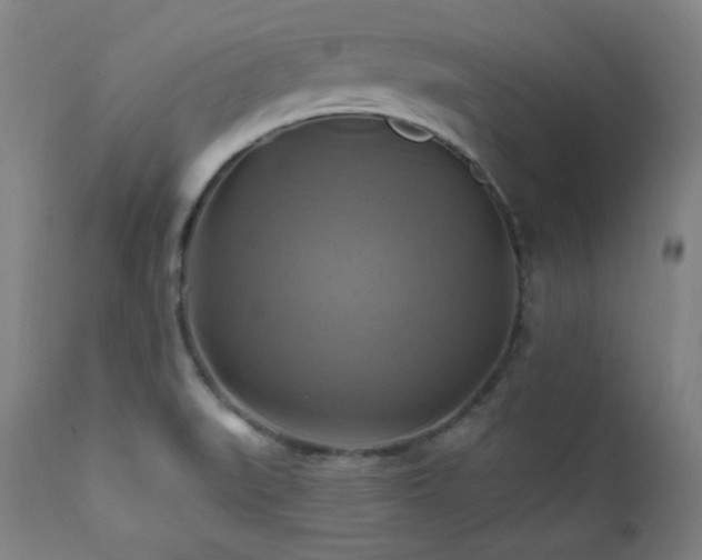 X0000112031519200908031424