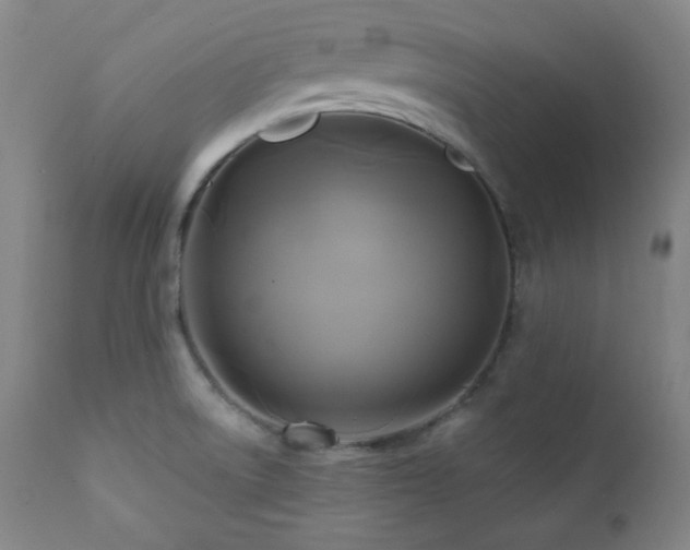 X0000112031522200908031424