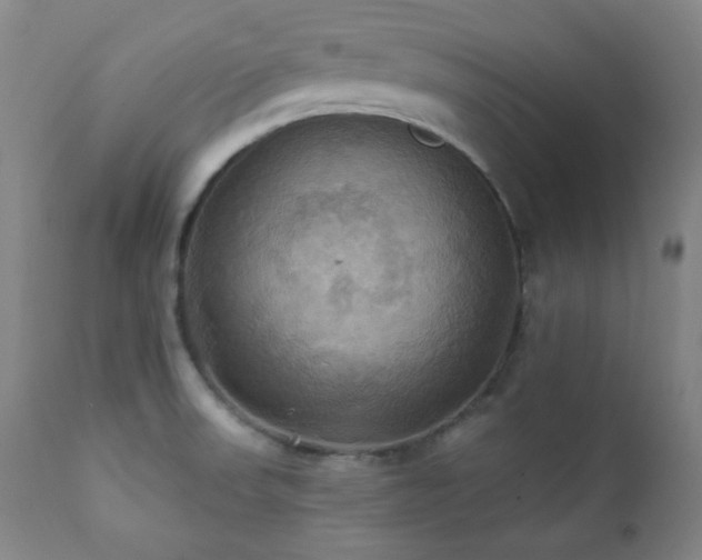X0000112031523200908031424
