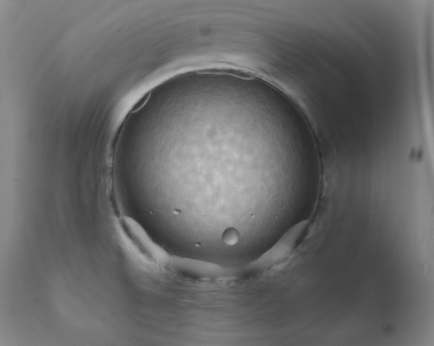 X0000112031524200908031424