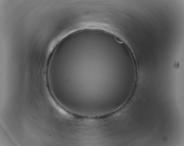 X0000112031525200908031424