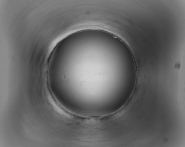 X0000112031526200908031424