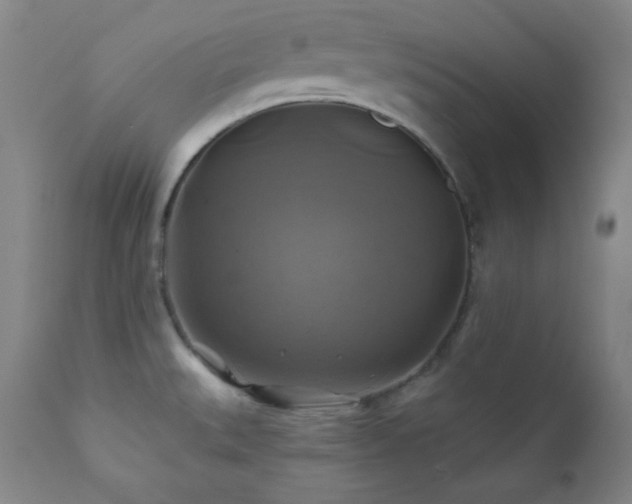 X0000112031527200908031424