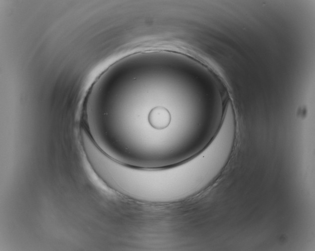 X0000112031528200908031424