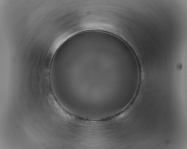 X0000112031529200908031424