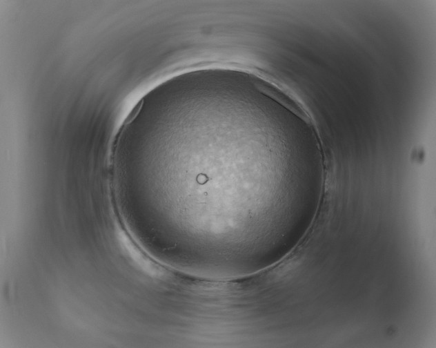X0000112031532200908031424