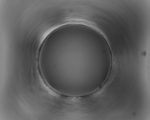 X0000112031533200908031424