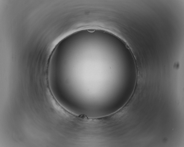 X0000112031534200908031424