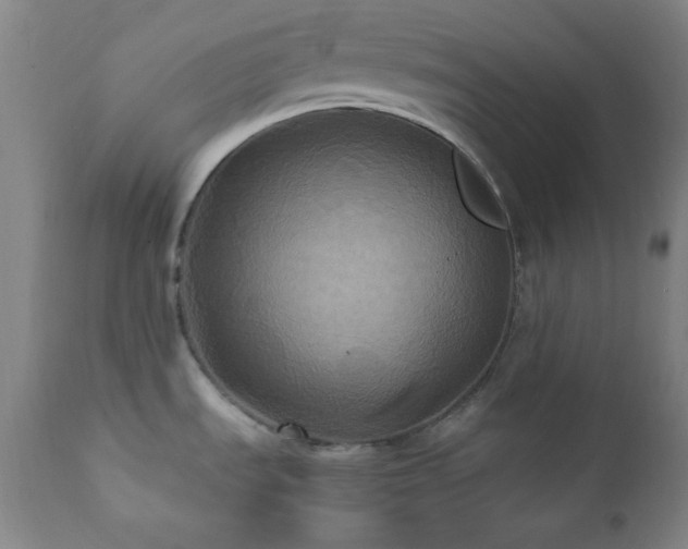 X0000112031535200908031424