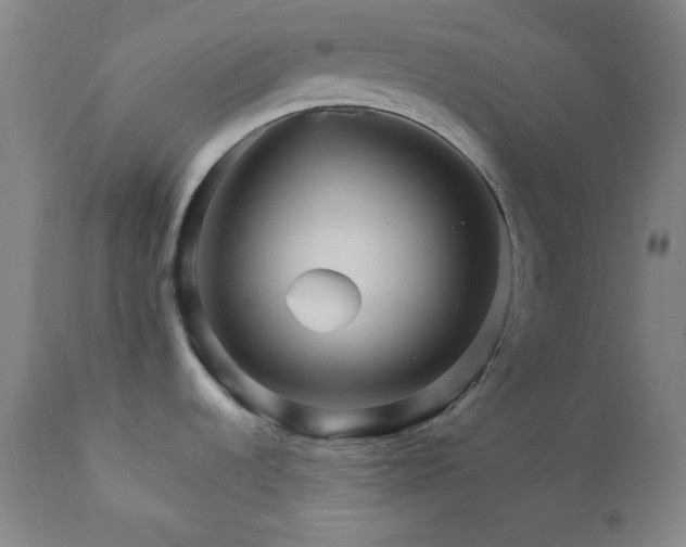 X0000112031536200908031424