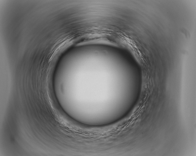 X0000112030001200908101349