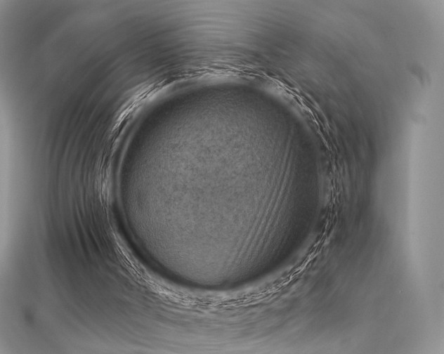 X0000112030002200908101349