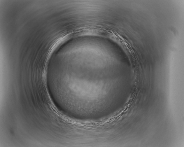 X0000112030003200908101349