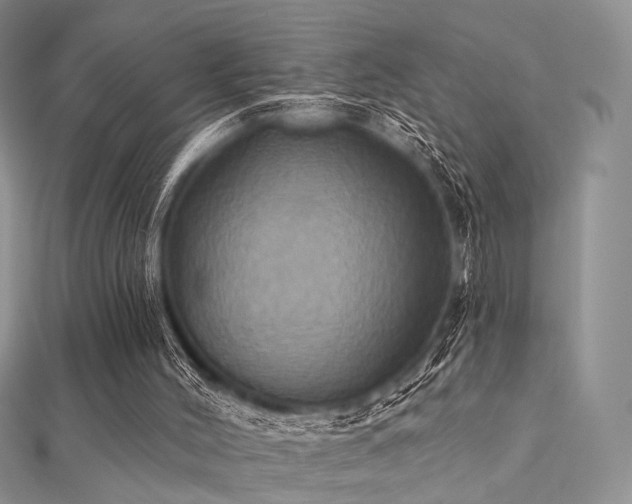X0000112030004200908101349