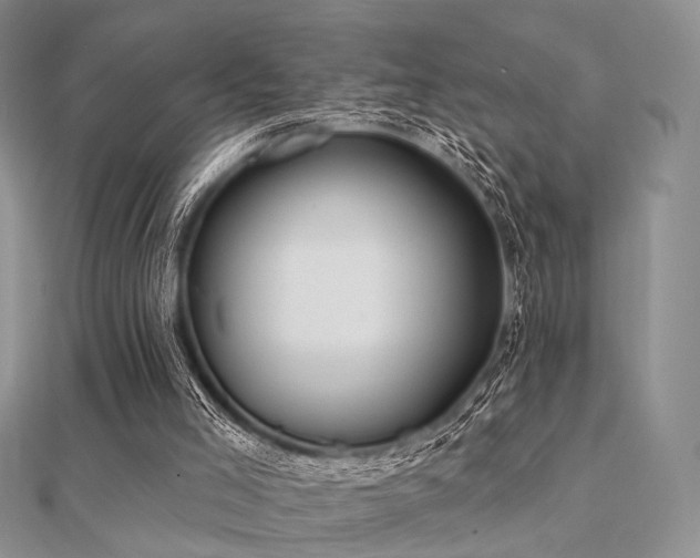 X0000112030005200908101349