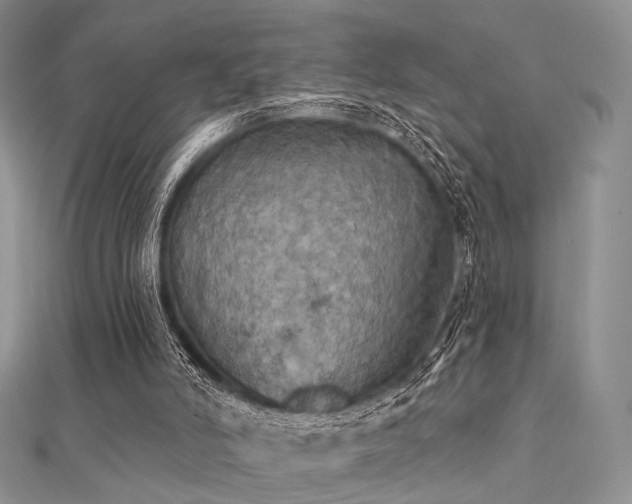 X0000112030006200908101349
