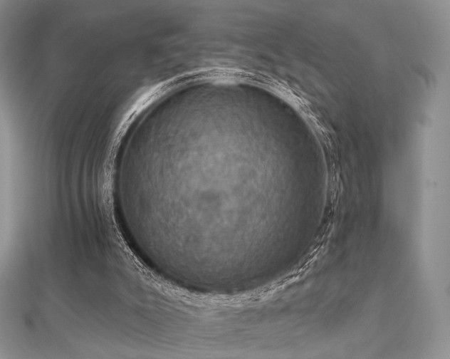 X0000112030007200908101349