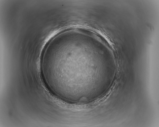 X0000112030008200908101349