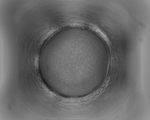 X0000112030009200908101349