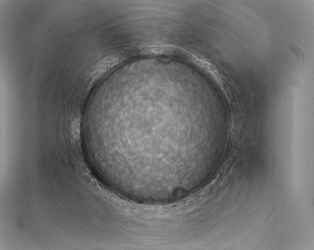 X0000112030010200908101349