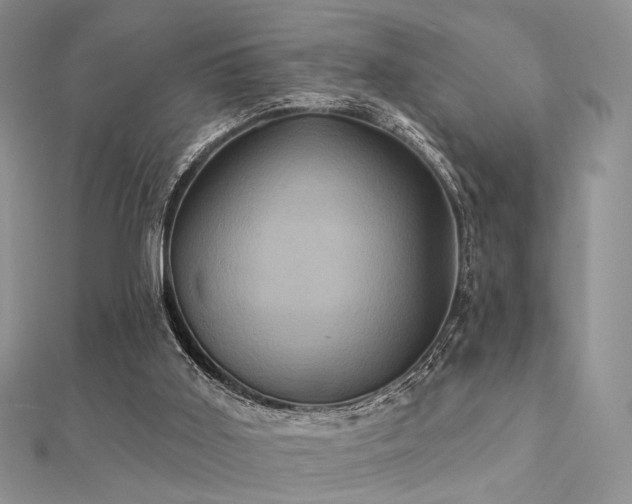 X0000112030011200908101349