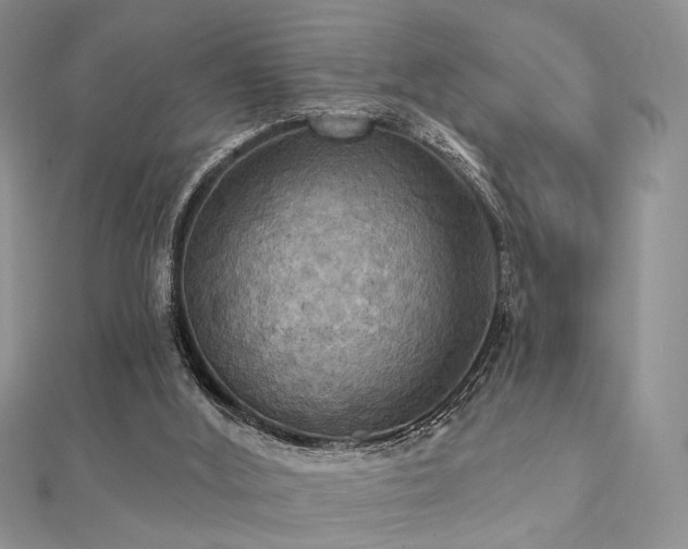 X0000112030012200908101349
