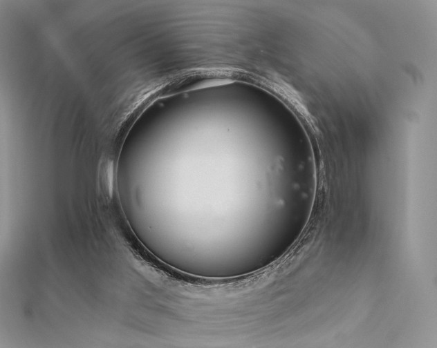 X0000112030013200908101349