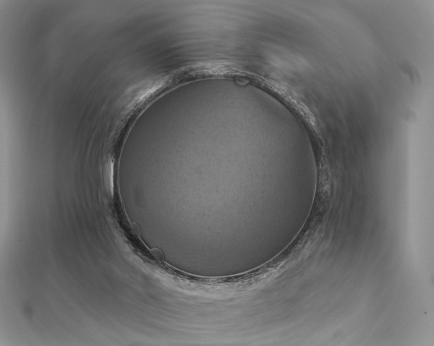 X0000112030014200908101349