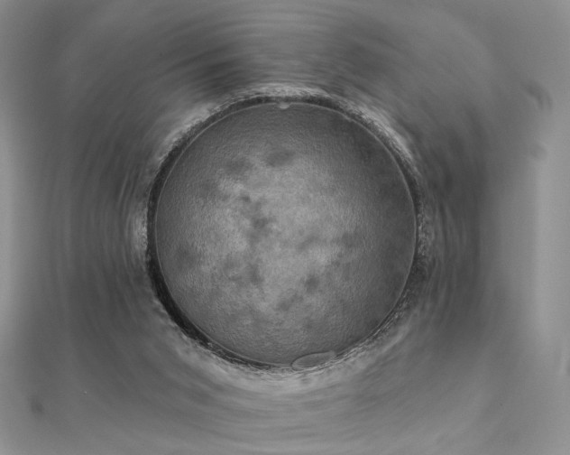 X0000112030015200908101349