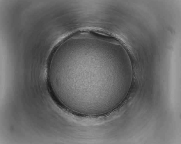 X0000112030016200908101349