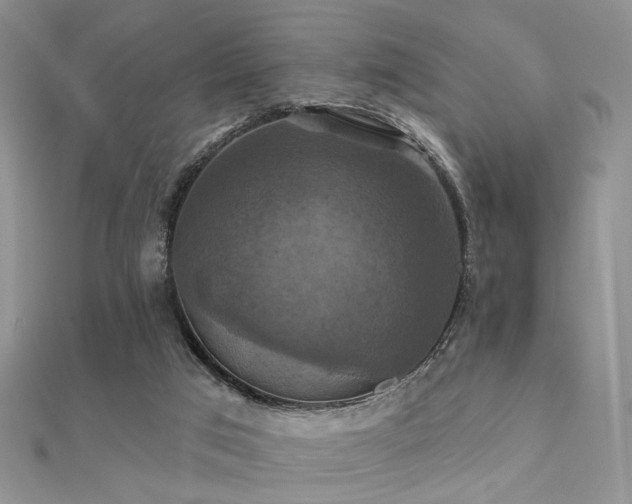 X0000112030017200908101349