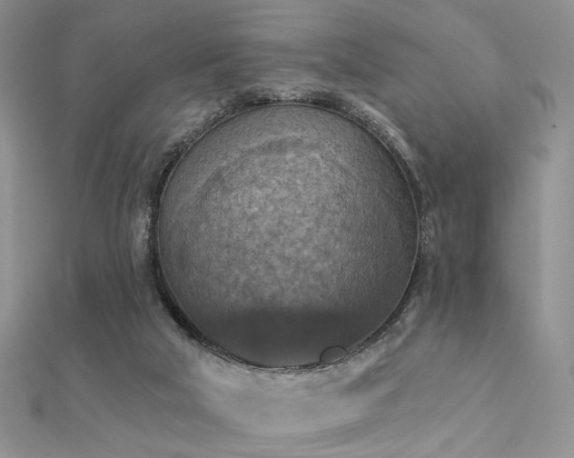X0000112030018200908101349