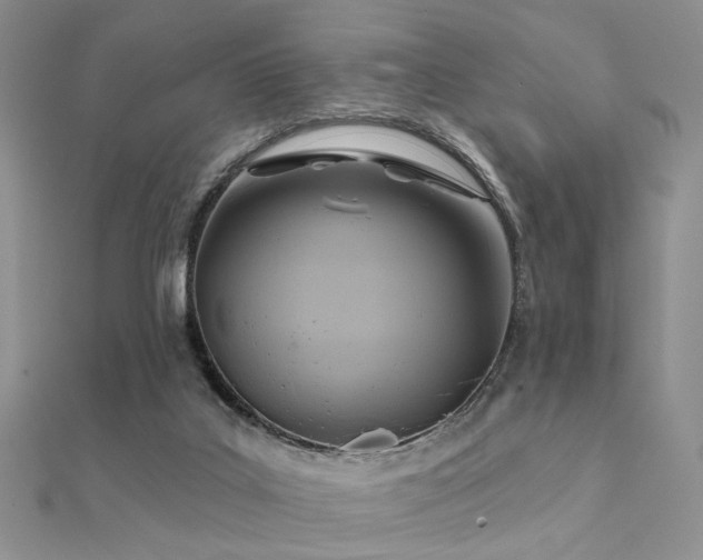 X0000112030019200908101349