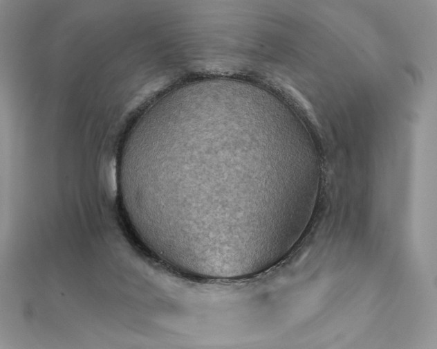X0000112030020200908101349