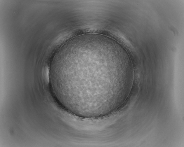 X0000112030022200908101349